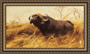 African Framed Paintings - An African Buffalo by Wilhelm Kuhnert