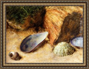 Bank Framed Paintings - Still Life With Sea Shells On A Mossy Bank by William Henry Hunt