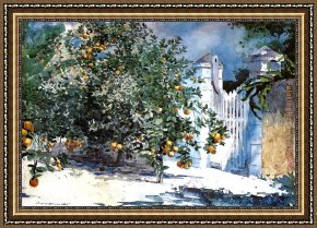 Oranges Framed Paintings - Orange Tree Nassau by Winslow Homer