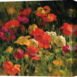 Poppies of Toscano I Canvas Paintings - Iceland Poppies by 2011