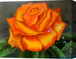 Park of Rose Canvas Paintings - Orange Rose by 2011