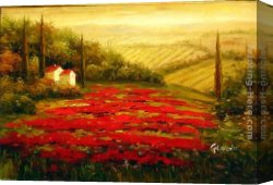 Red Circles II Canvas Paintings - Red Poppies in Tuscany by 2011