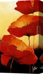 Red Circles II Canvas Paintings - Three Red Poppies II by 2011