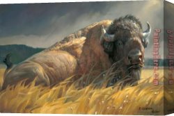 2017 Canvas Paintings - Animal 201712 by 2017 new