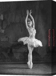 Ballet Canvas Paintings - Ballet 173606 by 2017 new