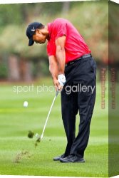 Sports Canvas Paintings - Golf Sport by 2017 new