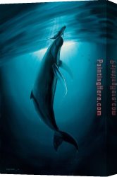 2017 Canvas Paintings - Wyland Whale The First Breath by 2017 new