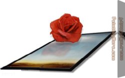 Beaux-arts Canvas Paintings - Meditative Rose I by 3d art