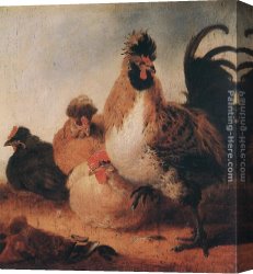 Double Roosters Canvas Paintings - Rooster and Hens by Aelbert Cuyp
