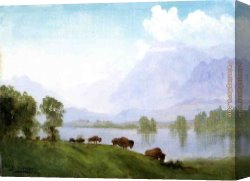 Albert Bierstadt Canvas Paintings - Buffalo Country by Albert Bierstadt