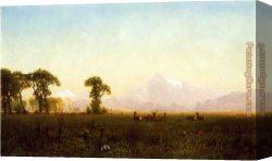 Grand Canvas Paintings - Deer Grazing, Grand Tetons, Wyoming by Albert Bierstadt