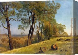 Albert Bierstadt Among The Sierra Nevada, California Canvas Paintings - Landscape Rockland County California by Albert Bierstadt