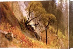 Yosemite Canvas Paintings - Landscape Study, Yosemite, California by Albert Bierstadt