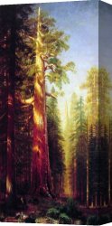 Albert Bierstadt Among The Sierra Nevada, California Canvas Paintings - The Great Trees Mariposa Grove California by Albert Bierstadt