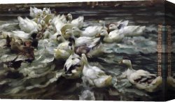 Jacob Duck Canvas Paintings - Ducks in a Pond by Alexander Koester