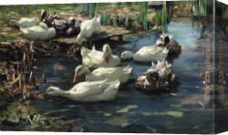 Jacob Duck Canvas Paintings - Ducks in a Quiet Pool by Alexander Koester