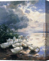 Koester Canvas Paintings - Ducks in the Morning by Alexander Koester
