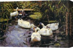 Blick Auf Jerusalem Vom Olberg Aus Canvas Paintings - Enten auf einem Schilfteich by Alexander Koester