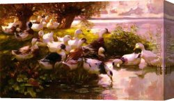 Koester Canvas Paintings - Max Ducks On A Lake by Alexander Koester