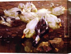 Koester Canvas Paintings - Max Enten Am Teich by Alexander Koester