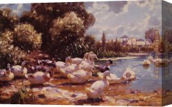 Koester Canvas Paintings - Mid Day Swim by Alexander Koester