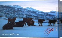 Alexei Canvas Paintings - Winter Sentinels by Alexei Butirskiy