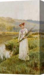 A Goat in a Meadow Canvas Paintings - Across the Meadow by Alfred Glendening