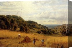 Isle Canvas Paintings - Harvesting At Luccombe, Isle Of Wight by Alfred Glendening