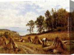 Isle Canvas Paintings - In The Cornfields, Near Luccombe, Isle Of Wight by Alfred Glendening