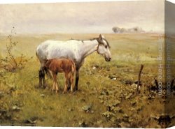 Lord Rivers' Roan Mare in a Landscape Canvas Paintings - A Mare and her Foal in a Landscape by Alfred von Kowalski Wierusz