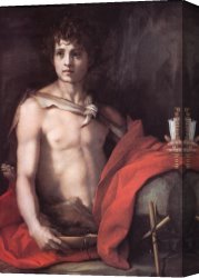 Sarto Canvas Paintings - St. John the Baptist by Andrea del Sarto