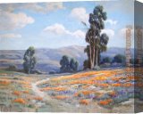 Stretched Canvas Painting