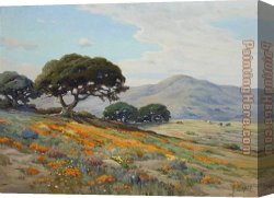 The Angel And Tobias with The Fish Canvas Paintings - California Lupines and Poppies by Angel Espoy