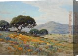 Buy Stretched Canvas Painting
