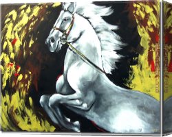 Fate Animals Canvas Paintings - 8105 by Animal
