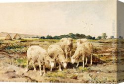 Anton Canvas Paintings - Grazing Sheep by Anton Mauve