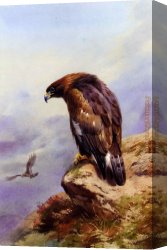 Archibald Thorburn Canvas Paintings - A Golden Eagle by Archibald Thorburn