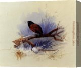 Stretched Canvas Painting