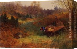 Archibald Thorburn Canvas Paintings - Autumn Sunshine by Archibald Thorburn