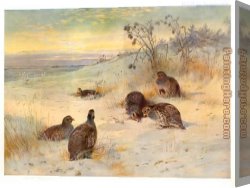 Archibald Thorburn Canvas Paintings - Close of a Winter's Day by Archibald Thorburn