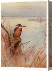 Archibald Thorburn Canvas Paintings - Frozen Out Fisherman by Archibald Thorburn