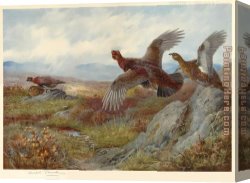 Archibald Thorburn Canvas Paintings - Grouse Over the Moor by Archibald Thorburn