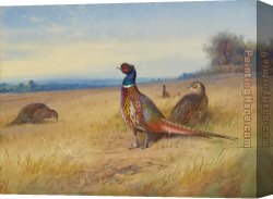 Archibald Thorburn Canvas Paintings - Keeping Watch by Archibald Thorburn