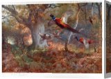 Buy Stretched Canvas Painting