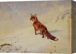 Archibald Thorburn Canvas Paintings - Startled by Archibald Thorburn