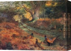 Archibald Thorburn Canvas Paintings - The Bridle Path by Archibald Thorburn