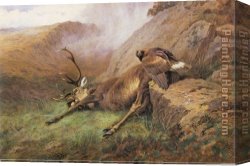 Archibald Thorburn Canvas Paintings - the lost stag by Archibald Thorburn