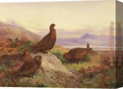 Call Canvas Paintings - The Morning Call by Archibald Thorburn