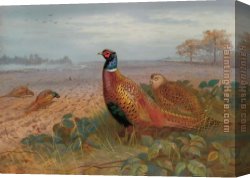 Archibald Thorburn Canvas Paintings - The Sentinel by Archibald Thorburn