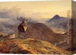 Archibald Thorburn Canvas Paintings - Voices of the Forest by Archibald Thorburn
